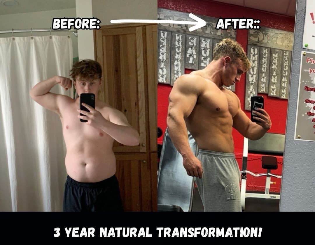 Training comparison and results